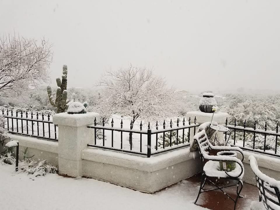 Snow on Tucson's east side